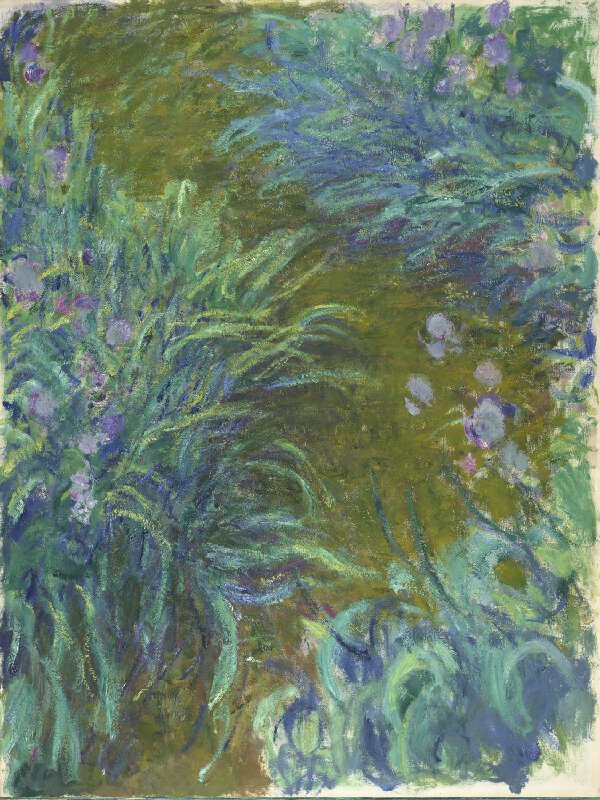 Monet, Irises
